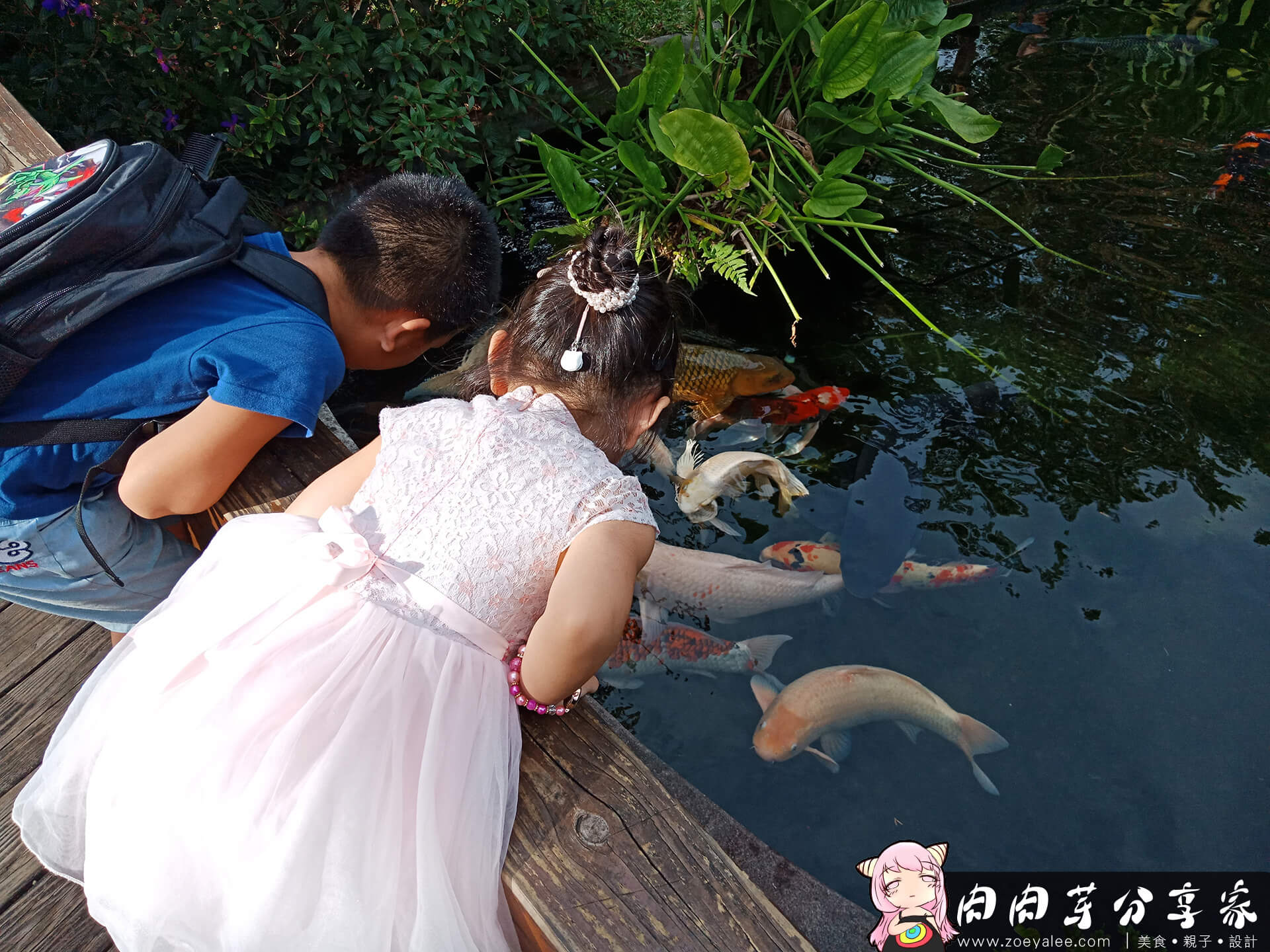 壹等賞景觀茶園餐廳錦鯉池吸引小孩目光，穿著中國風新式旗袍的小女孩與穿著休閒的小男孩一起觀看巨大錦鯉