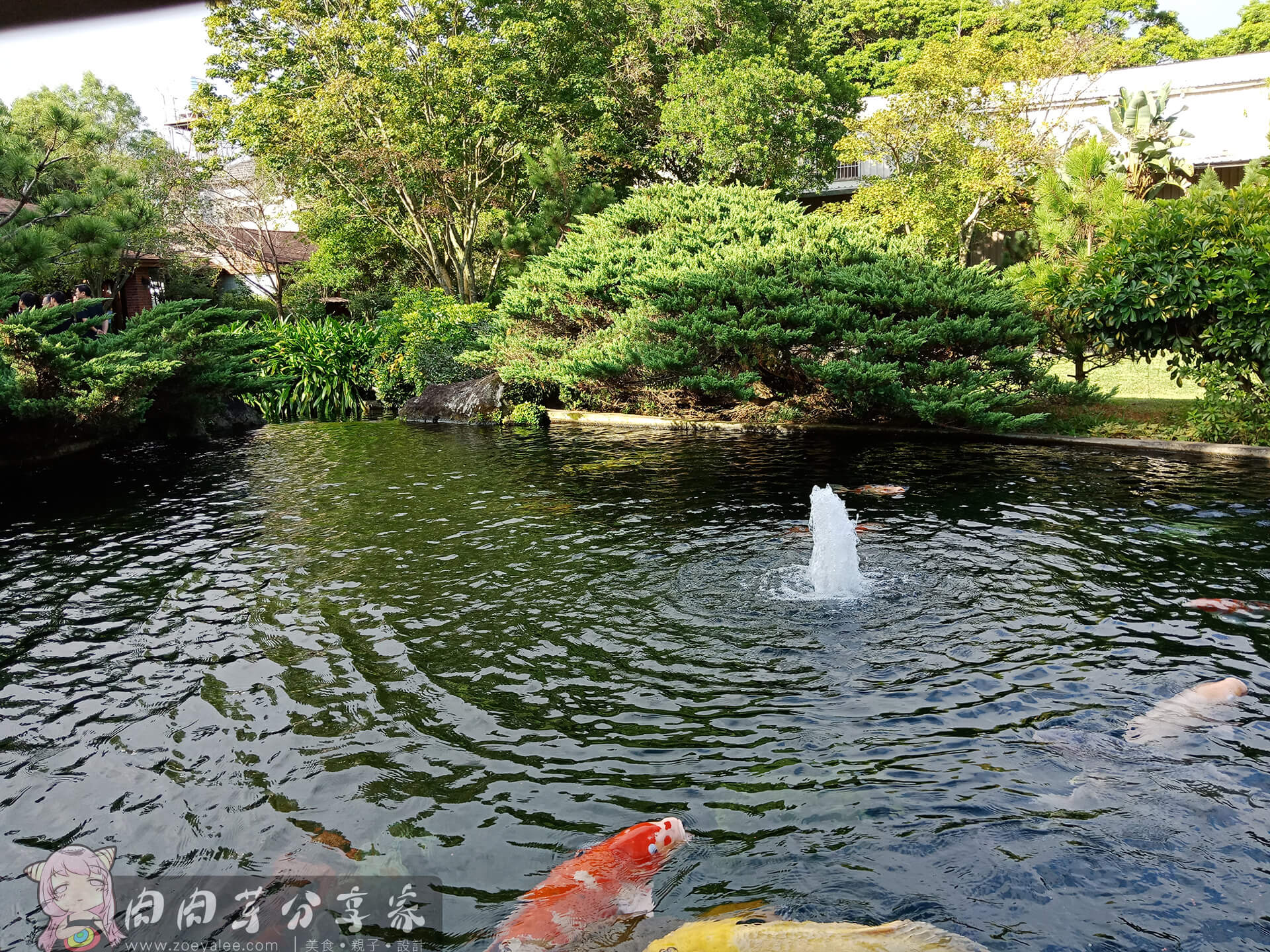 壹等賞景觀茶園餐廳錦鯉池有活水裝置